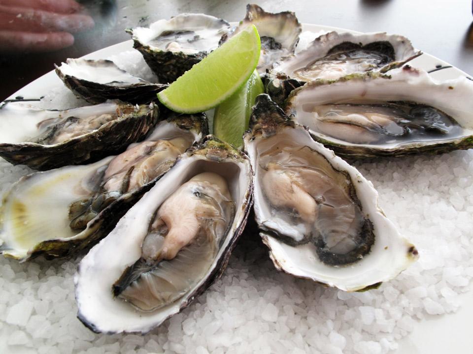 Visit the Rocky Point Oyster Farms and More! FMI Rentals
