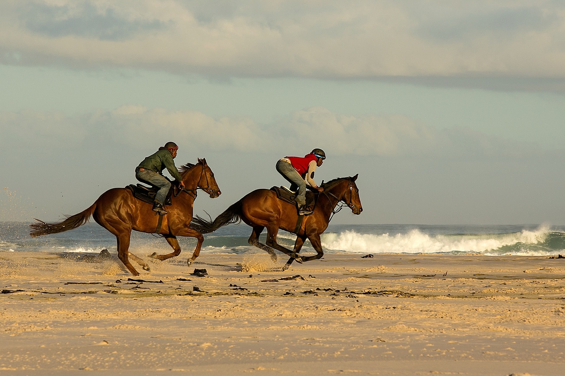 Places To Go Horseback Riding Near Me Best Places To Go Horseback