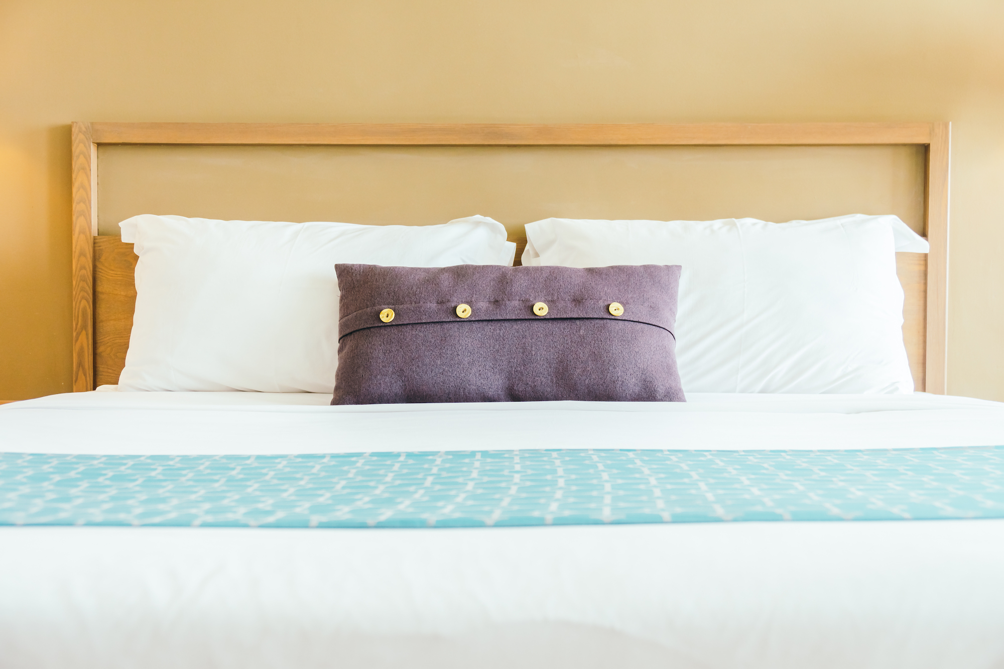 3 Bedroom Puerto Penasco Rocky Point Condo Rentals